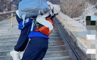 泰安短视频剪辑报价 泰山陪爬小伙“假期赚疯了”？多人回应：实际接单少于平时，不建议新人入局