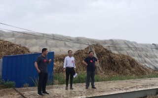 鸿源晟科技 鹤城区人大：组织人大代表集中视察鹤城高新区建设