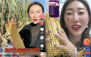 农资短视频剪辑 农资经销商为何“死磕”短视频？