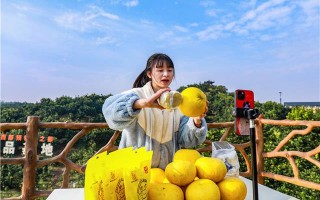 梁平的短视频拍摄剪辑 梁平柚搭乘电商“快车” 销售旺